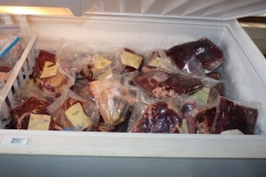 Basinger beef 007